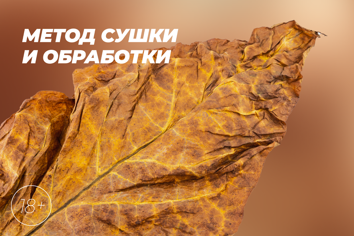 Сушка табака может быть воздушной, огневой, солнечной или флукуринговой.