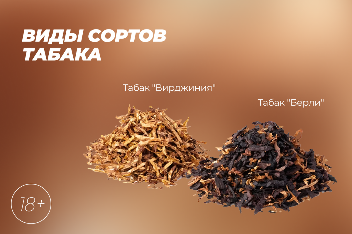 Табак Вирджиния отличается сладковатым оттенком, а табак Берли – более глубокий и насыщенный.