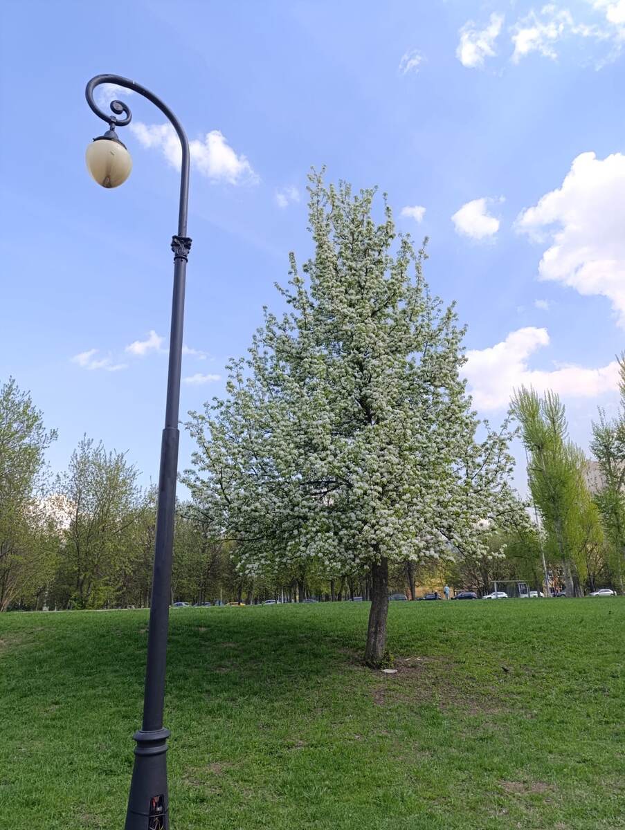 Листайте, чтобы глянуть чуть другой ракурс с фонарем и деревом.