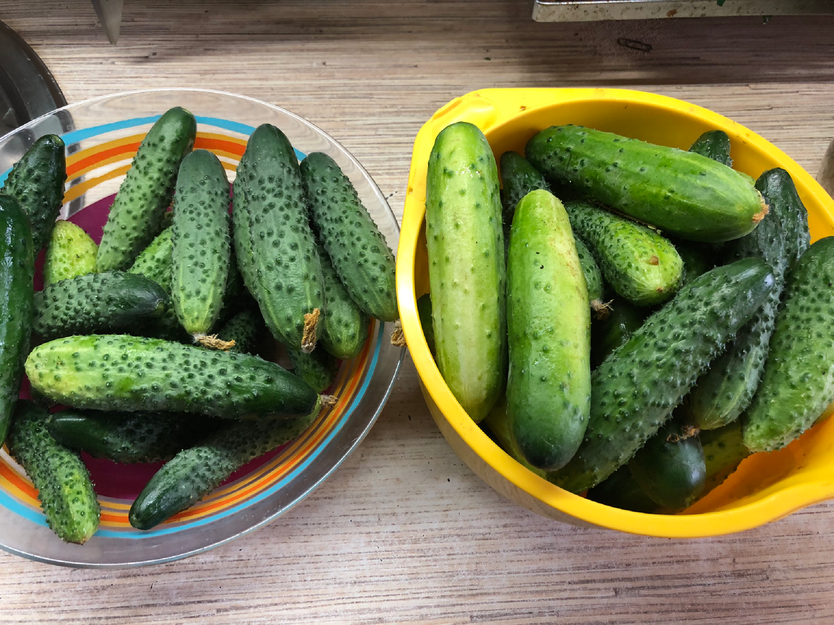 Гладкие огурцы Тайские, а колючий, по моему, Шмель