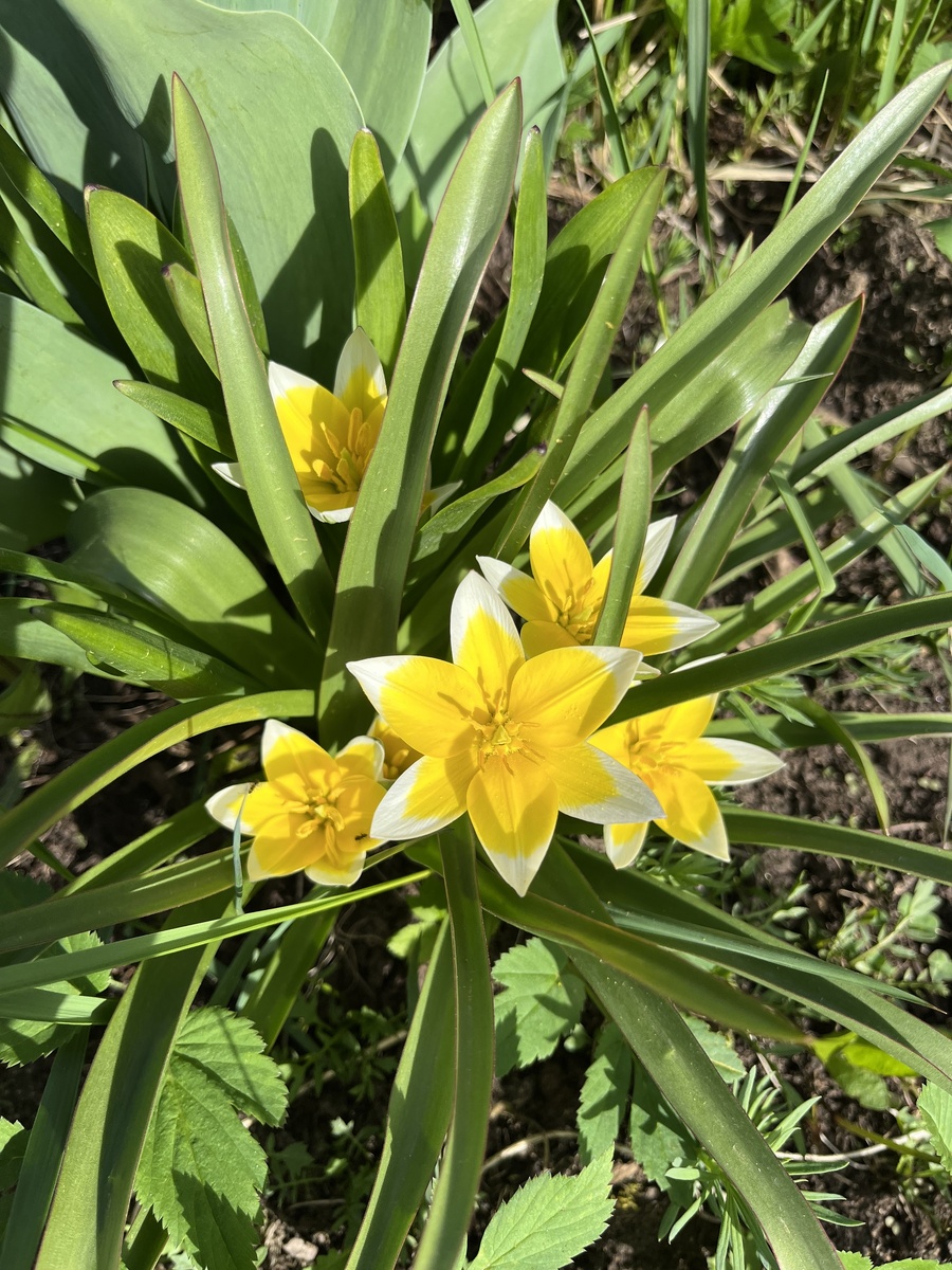 фото Наталии