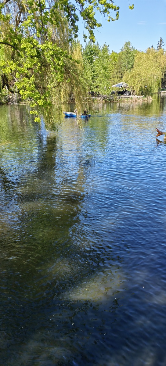 Во всю уже на лодочках катаются