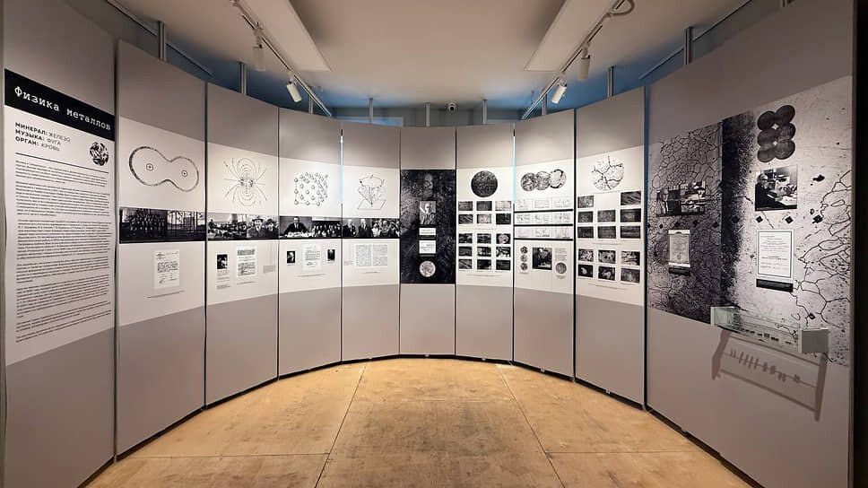 Выставка «Восточный эшелон. История спасения коллекций древнего Херсонеса».📷Фото: Анна Мисюра