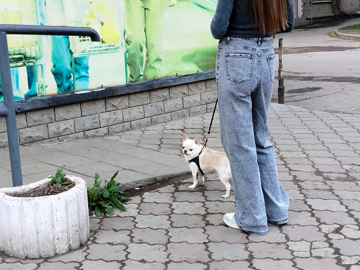 Фото автора