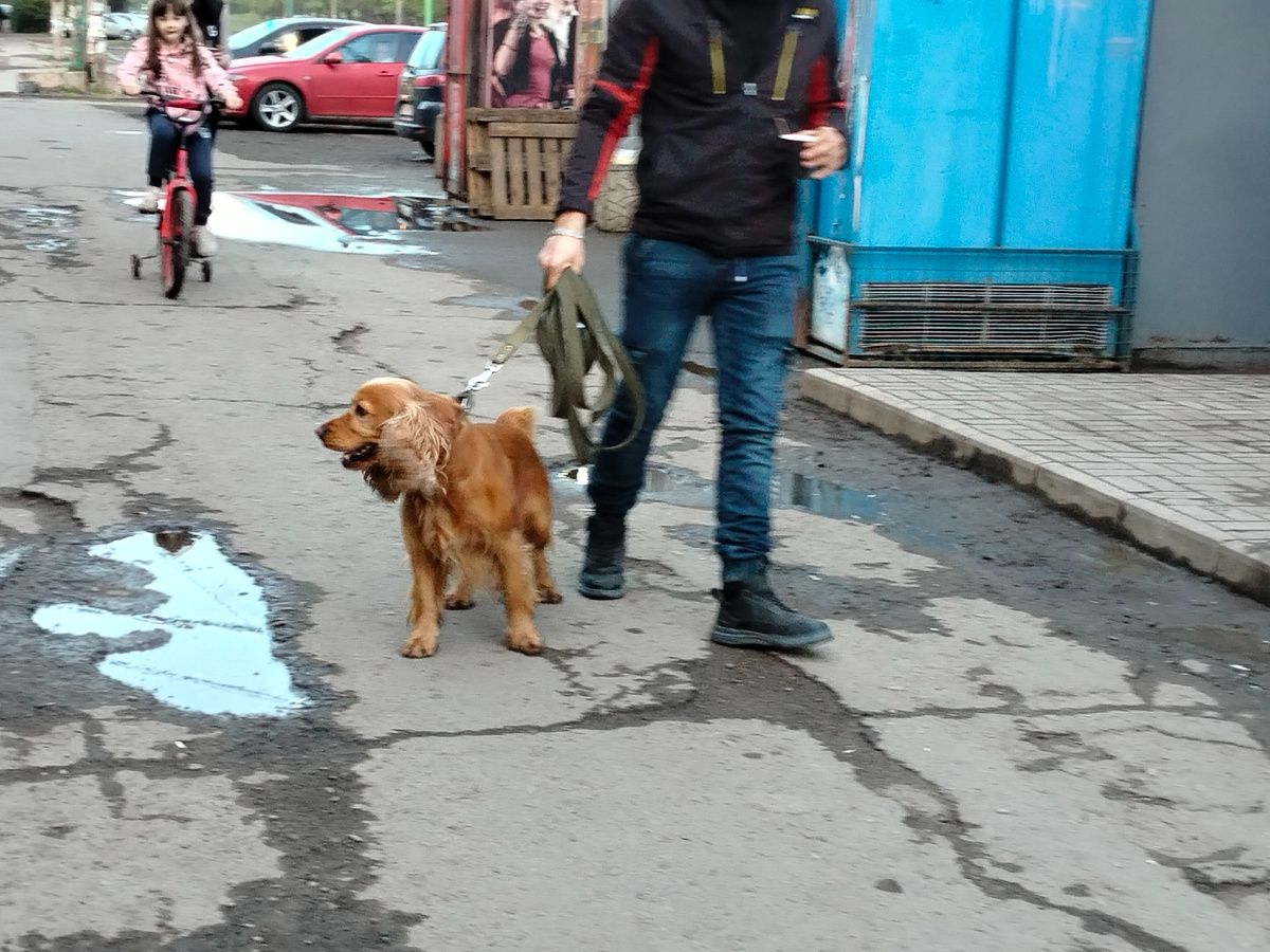 Фото автора