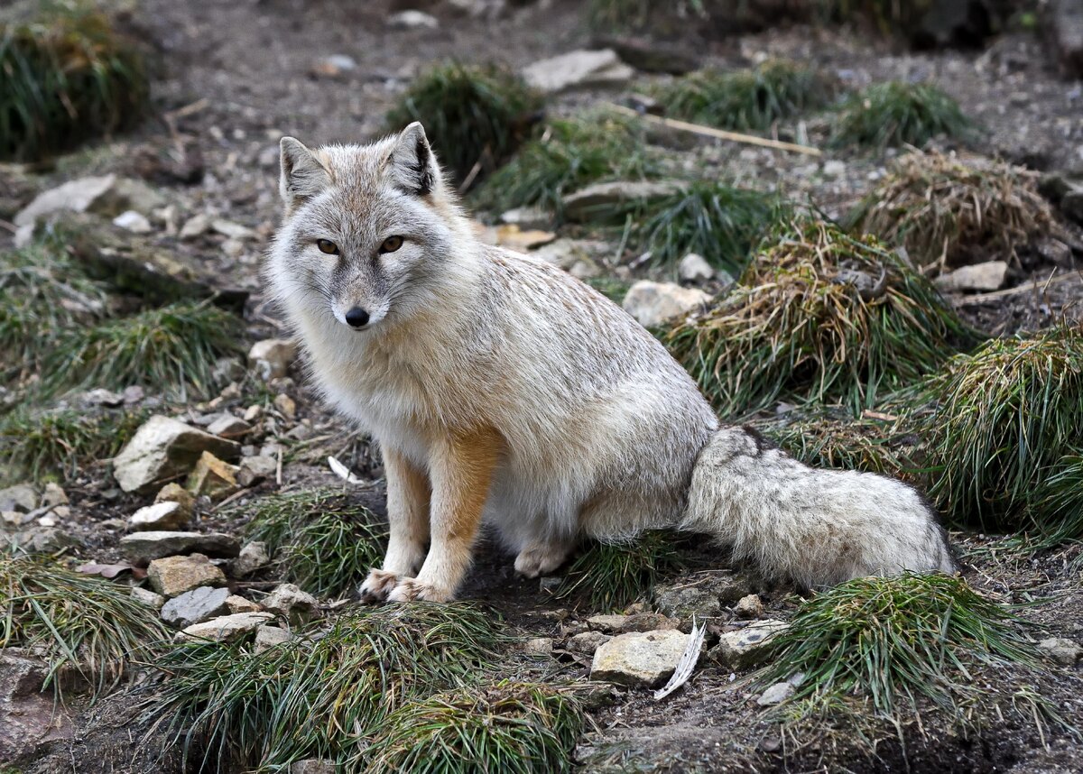    фото: Shutterstock/Fotodom.ru