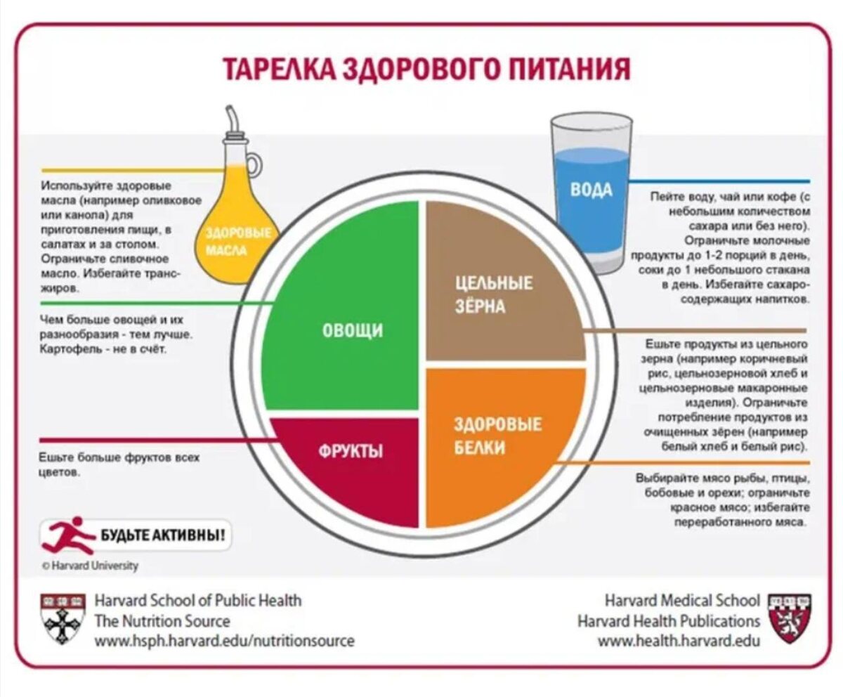 Система питания "Гарвардская тарелка" (фото из интернета)