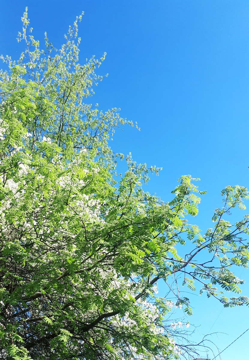 Личное фото. Апрель 2025г.