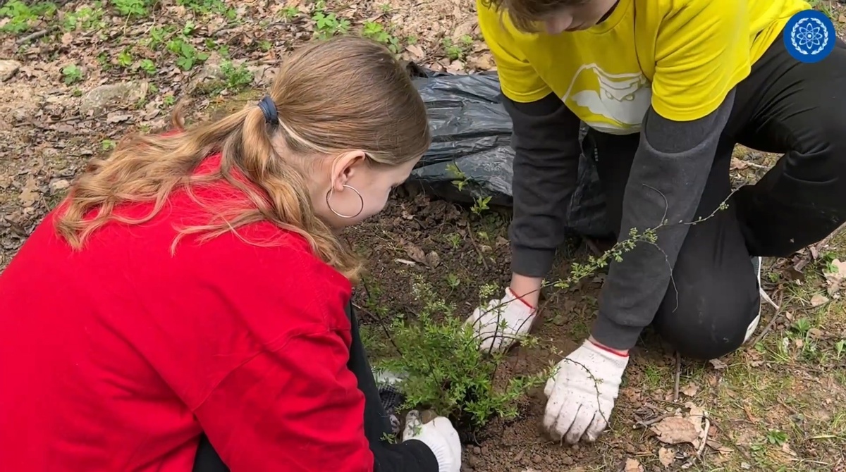 В Городском парке в Старом городе прошла акция "Посади дерево"