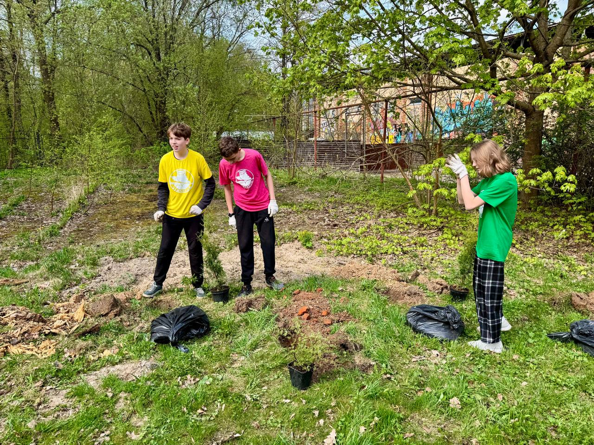 В Городском парке в Старом городе прошла акция "Посади дерево"