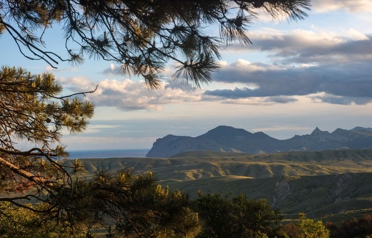    Сергей Петров/NEWS.ru