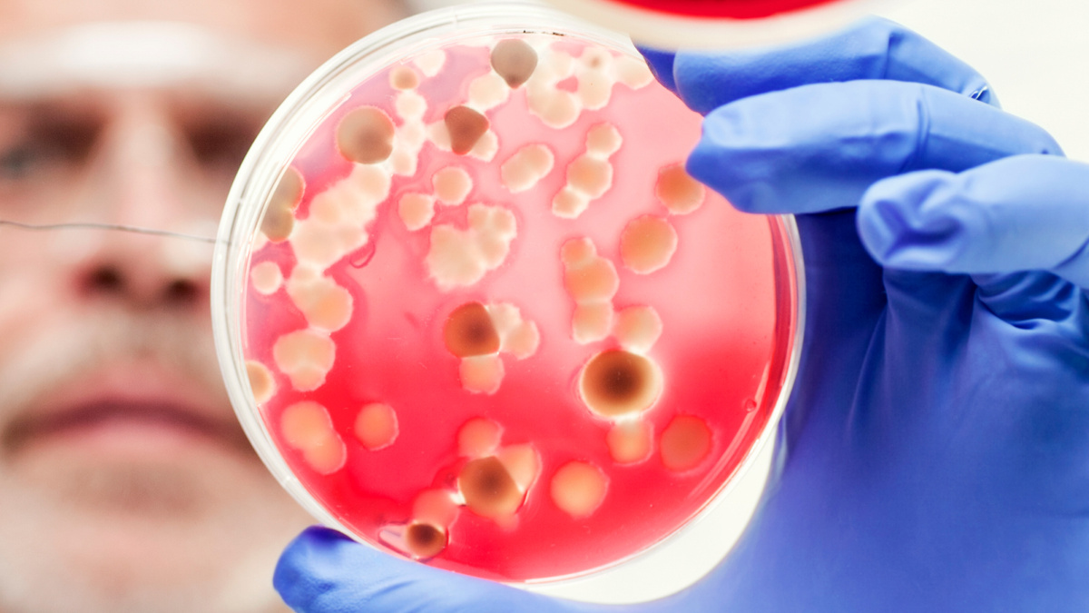    Ученый умер от чумы после контакта с «безопасными» бактериями