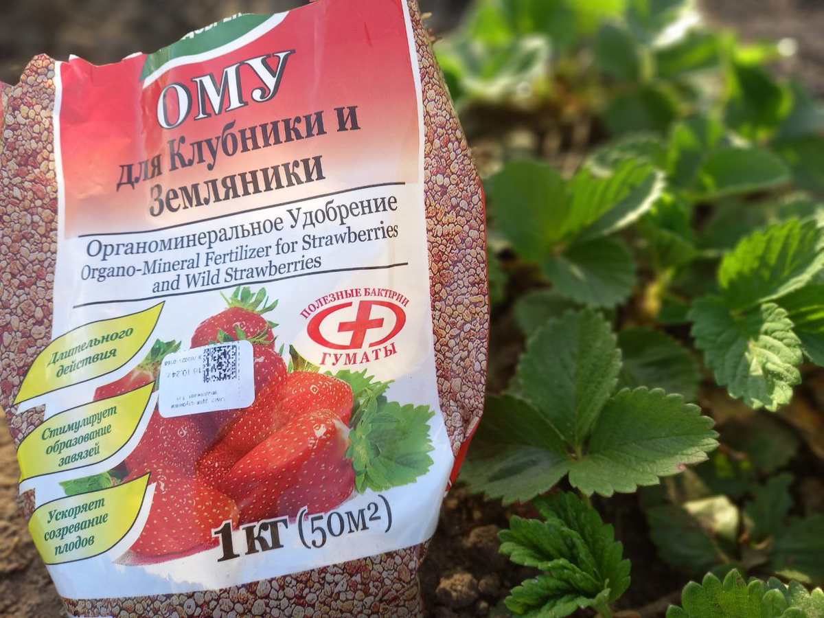 Фото автора. 24 апреля.