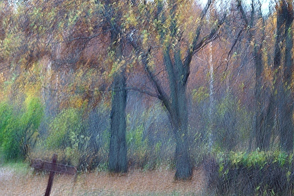 Все фото авторские 