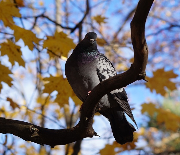 Все фото авторские