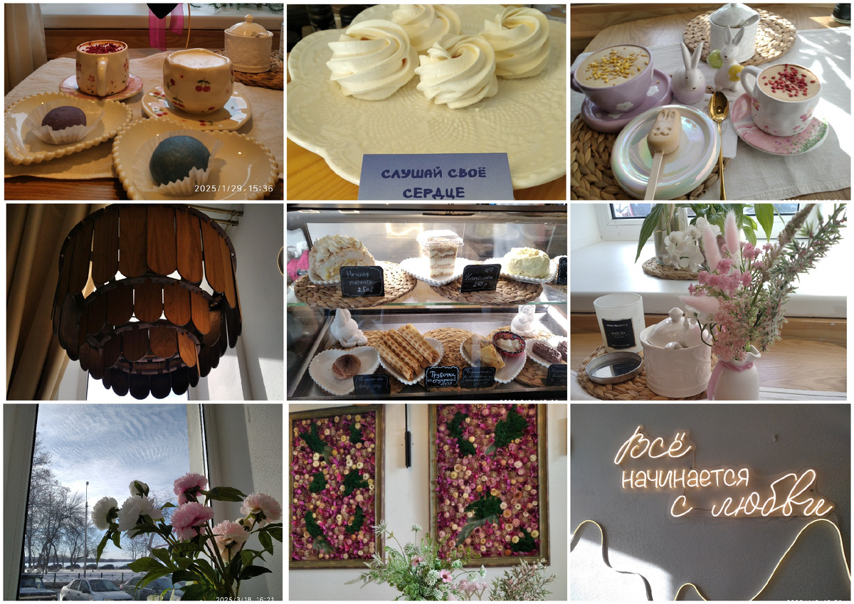 Мои фотографии и коллаж из кофейни "Лес"