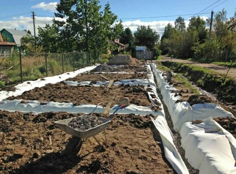 Фото из открытых источников