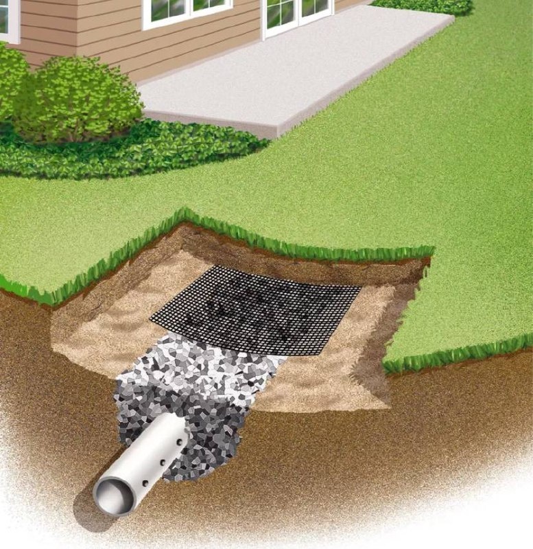 Фото из открытых источников