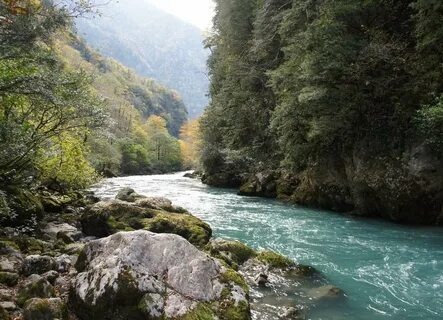 Из открытых источников