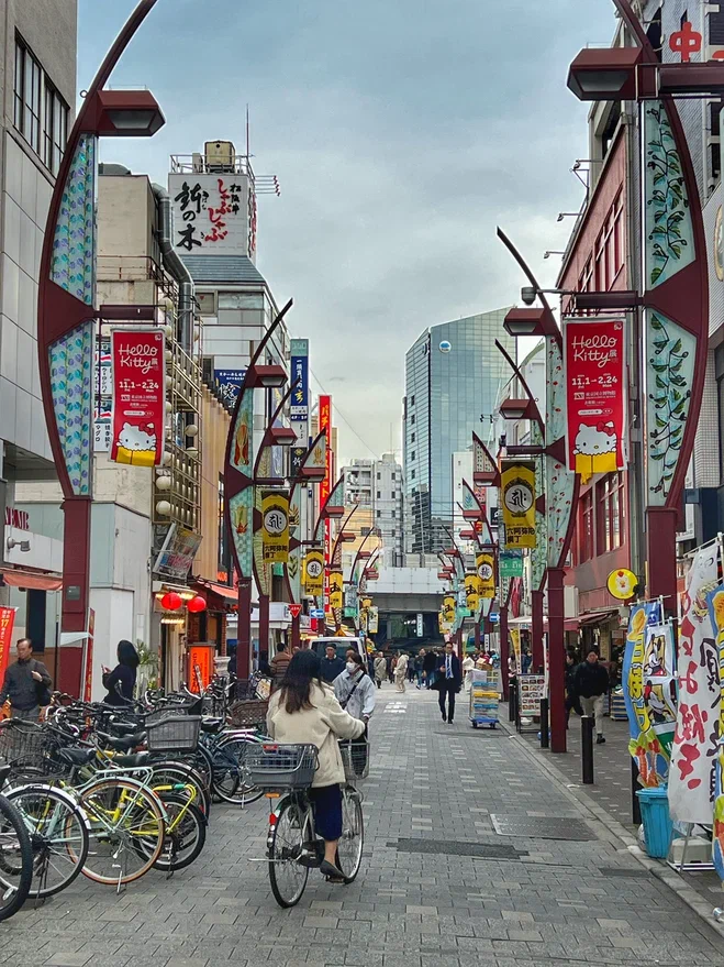 Токио, Япония. Фото автора