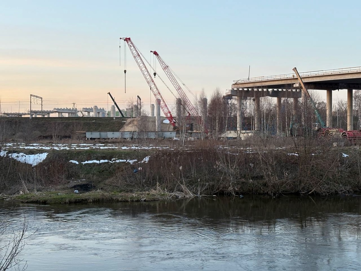 Строительство автодороги ЮЛА в пойме р. Пехорка в апреле 2025 года, изображение из открытых источников
