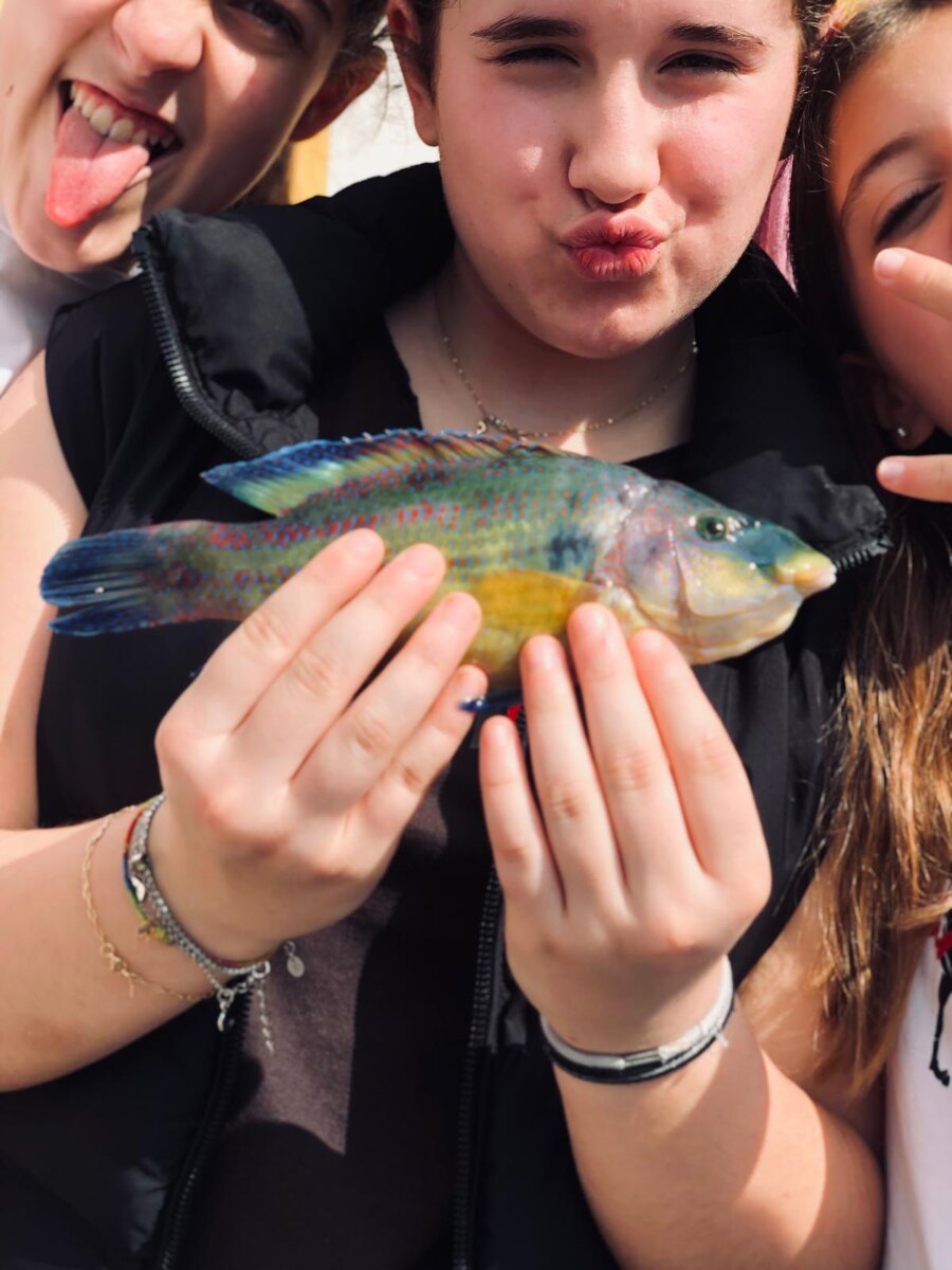 Наверняка всем, кто когда-либо бывал на море, доводилось собирать коллекцию "сокровищ", гуляя по пляжу вдоль линии прибоя. Потом её можно разглядывать часами, так как чего в ней только нет: и разноцветные камешки, и обточенные и скруглённые морем стёклышки, и ракушки, и морские звёзды, и прочие странные предметы, про которые даже не всегда можно точно догадаться, что это такое...