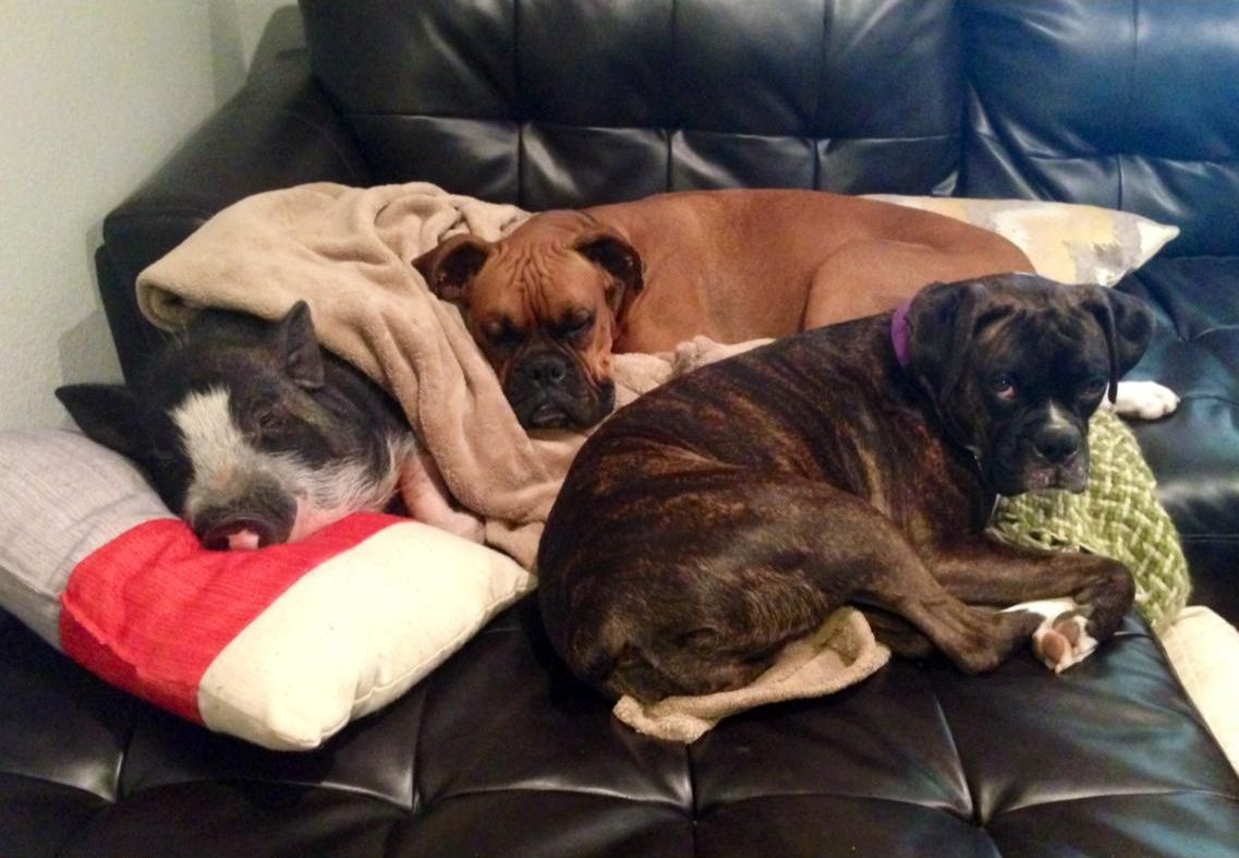 То самое фото. Из открытых источников.