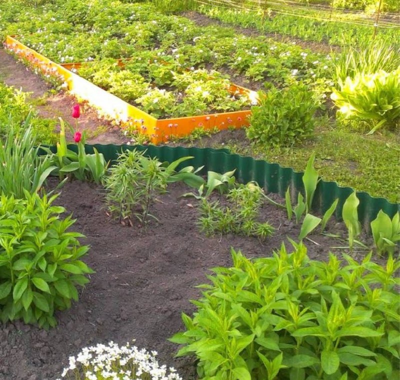 Фото из открытых источников