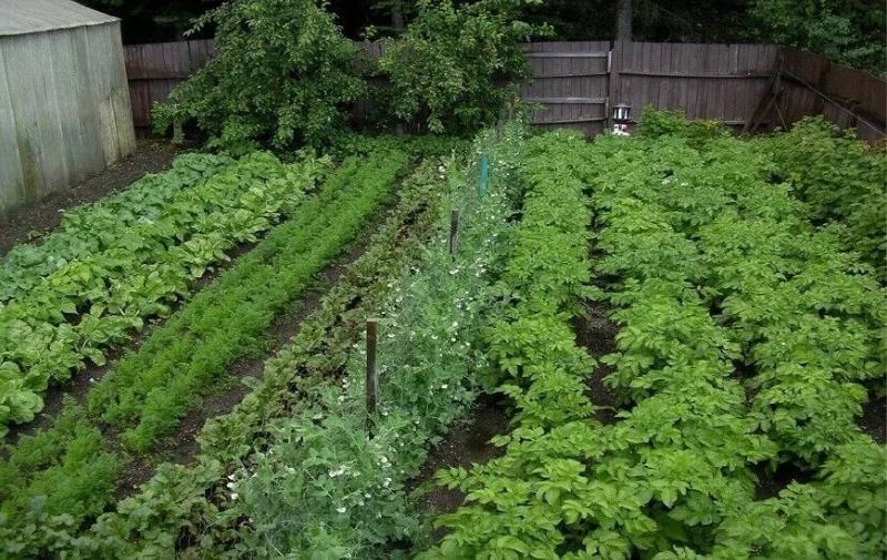 Фото из открытых источников