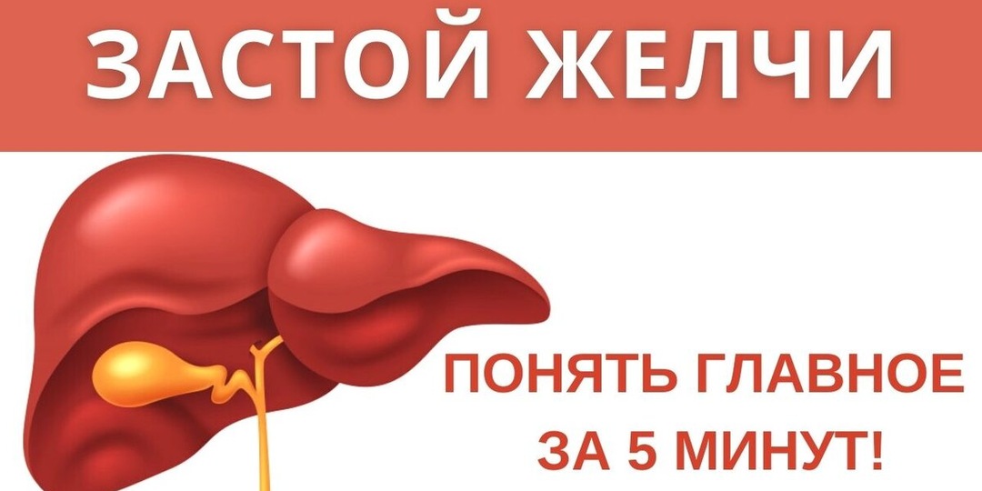 ПЕРВЫЕ ПРИЗНАКИ ЗАСТОЯ ЖЕЛЧИ: Как распознать проблему на ранней стадии