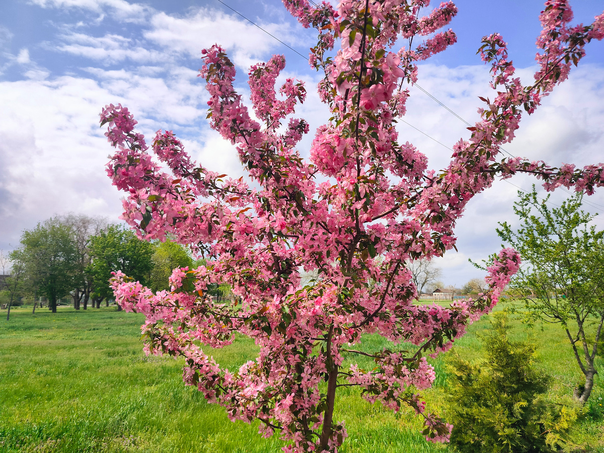 Такой наряд яркий, праздничный. 