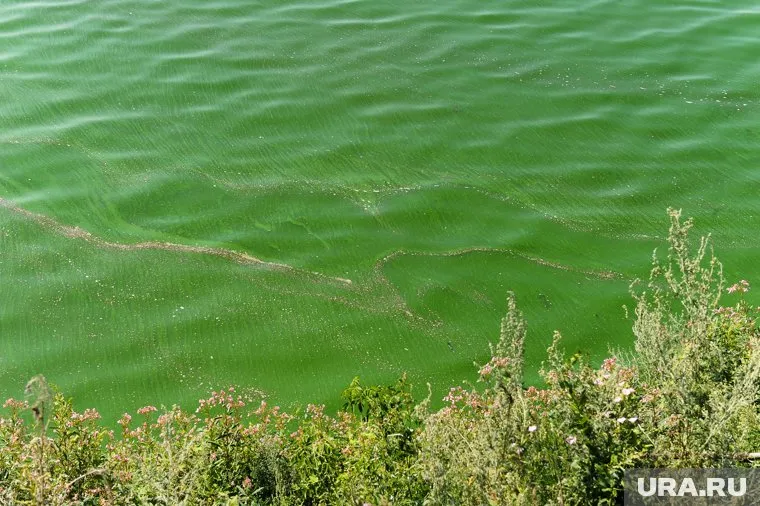 Для местных жителей установили станцию очистки
Фото: Вадим Ахметов © URA.RU
