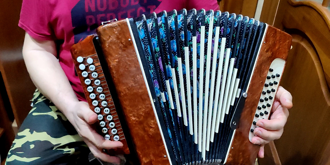 Гармонь ивушка Обзор