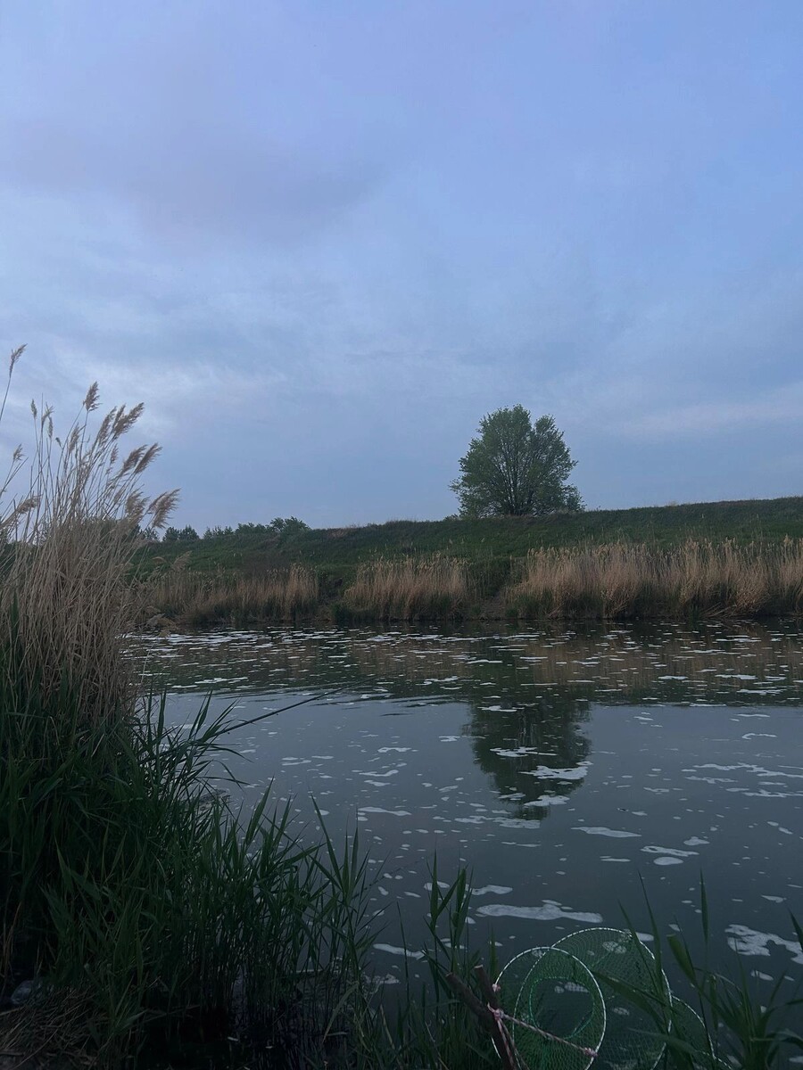     Автор: Алексей Перепечаев/Рыбалка в Ростове и Ростовской области