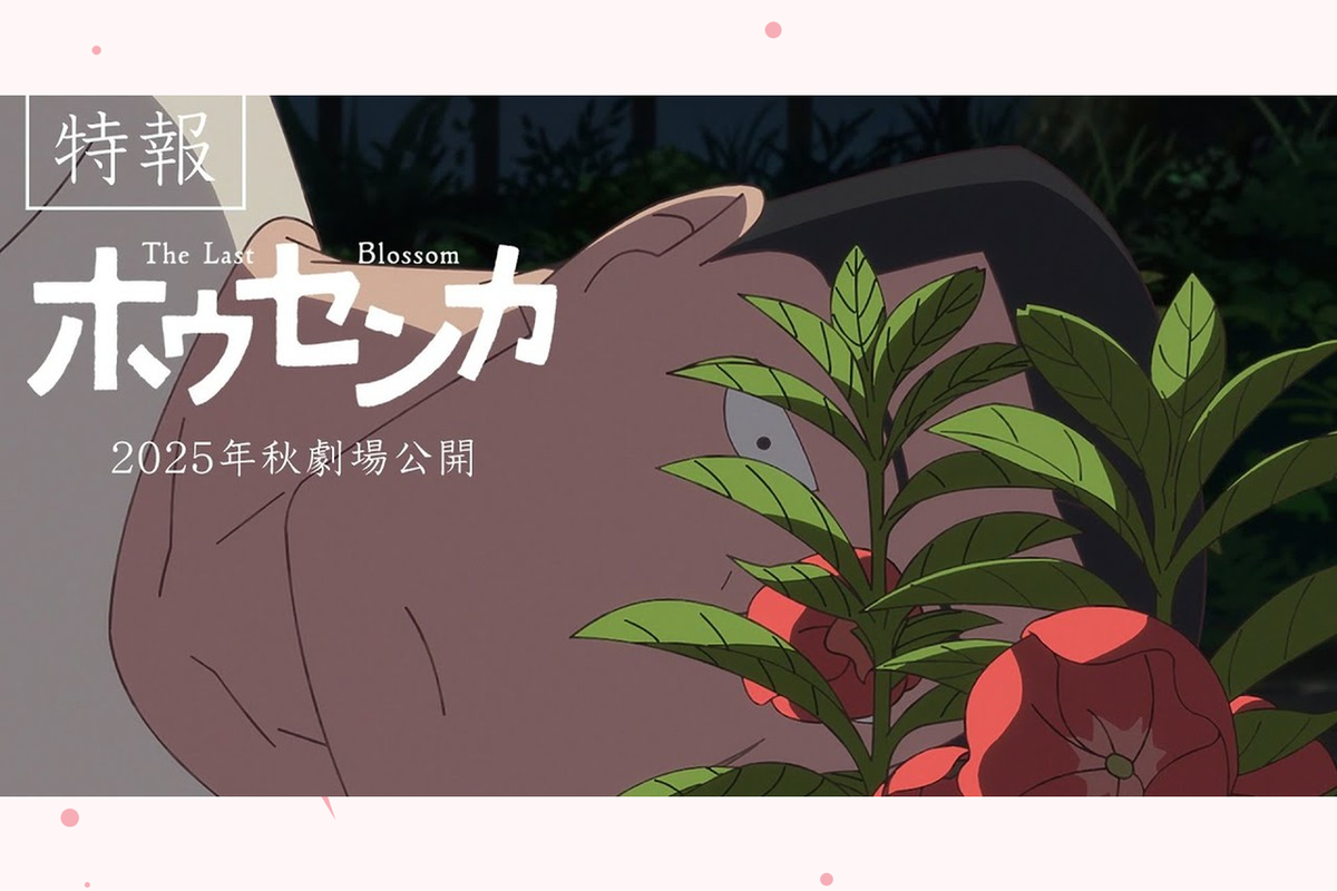     Говорящий цветок и якудза: что известно о новом аниме-фильме «Недотрога»