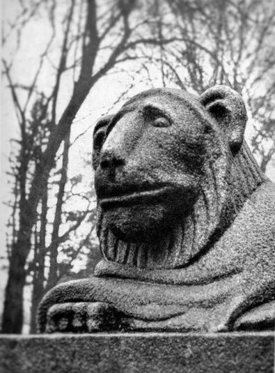 Фото из группы ВК 