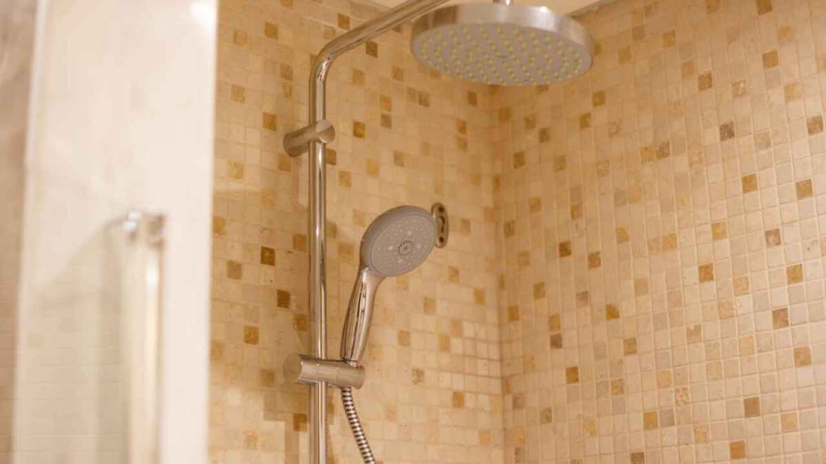 Фото: svetlichniy_igor/Shutterstock.com