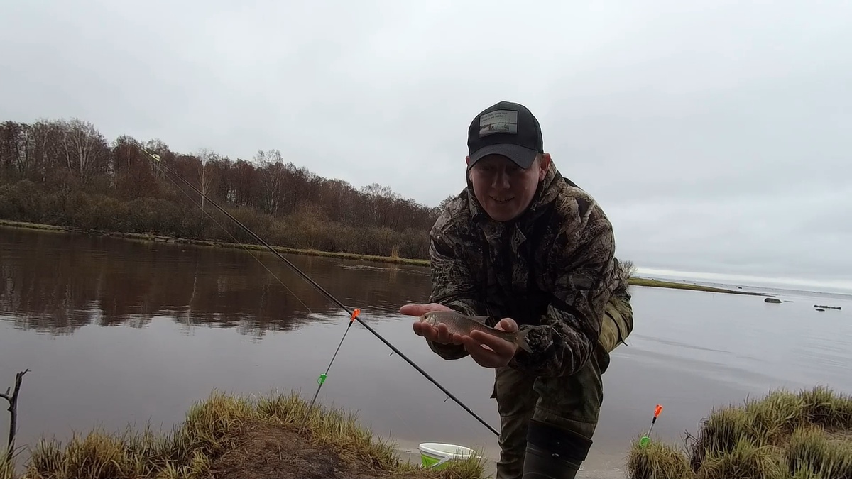 #рыбалканаельца, #рыбалканафидер, #поймалельца