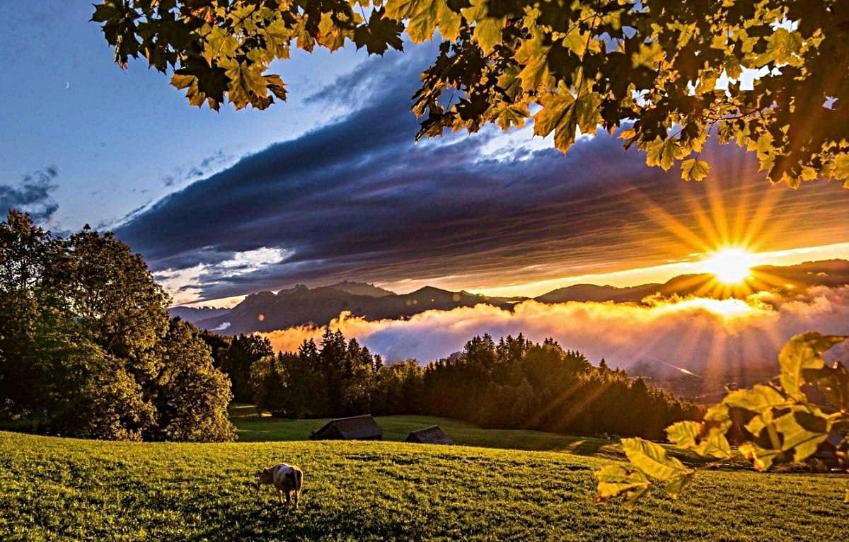 Фото из интернета.