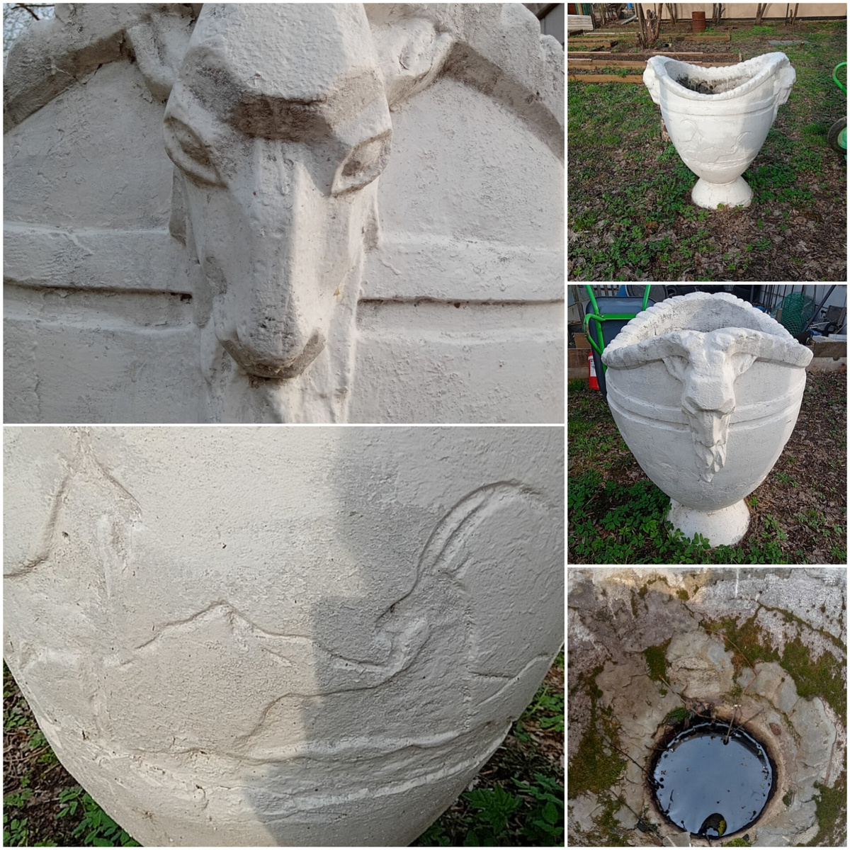 Вазон. Фотографии Натальи. 