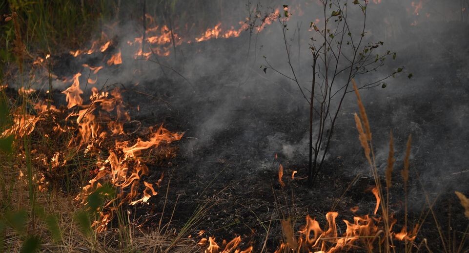    Komsomolskaya Pravda / www.globallookpress.com