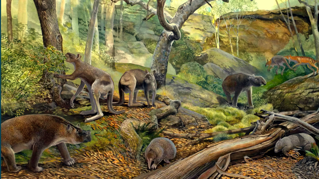 Когда-то Австралия была покрыта тропическим лесом, кишевшим всяческим зверьём.