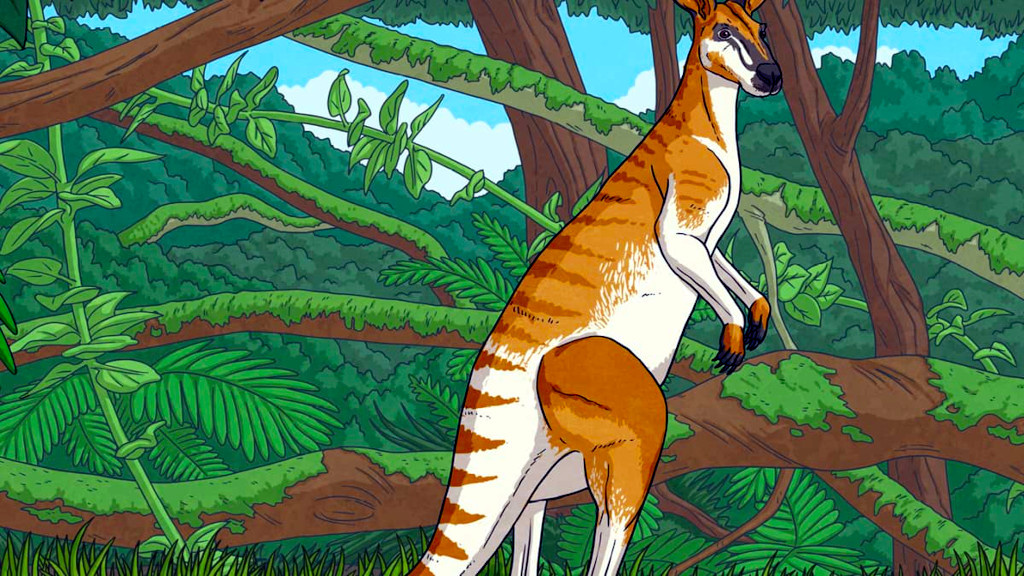 Гигантские кенгуру действительно были велики. Куда больше современных серых.