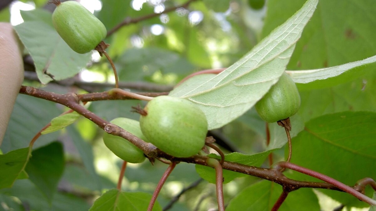     Источник: freepik.com