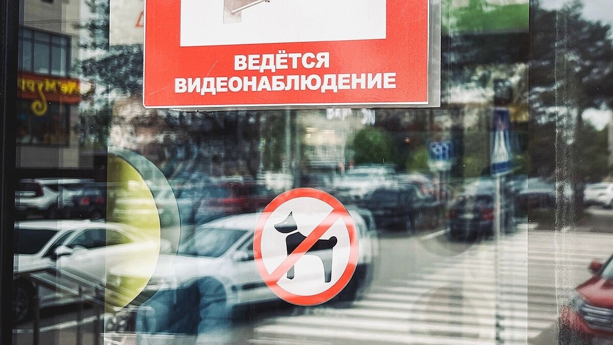     Источник: 1MI