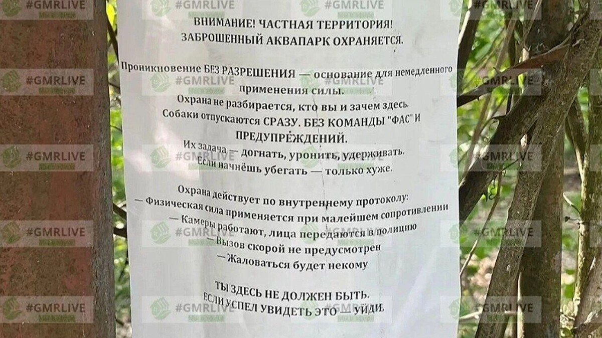     Источник: #GMRLIVE / t.me