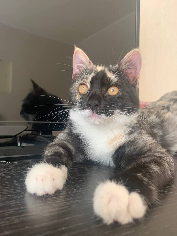 Листайте вправо, чтобы увидеть больше изображений