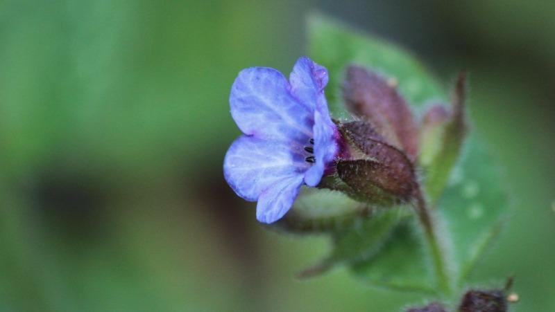 Фото: pxhere.com