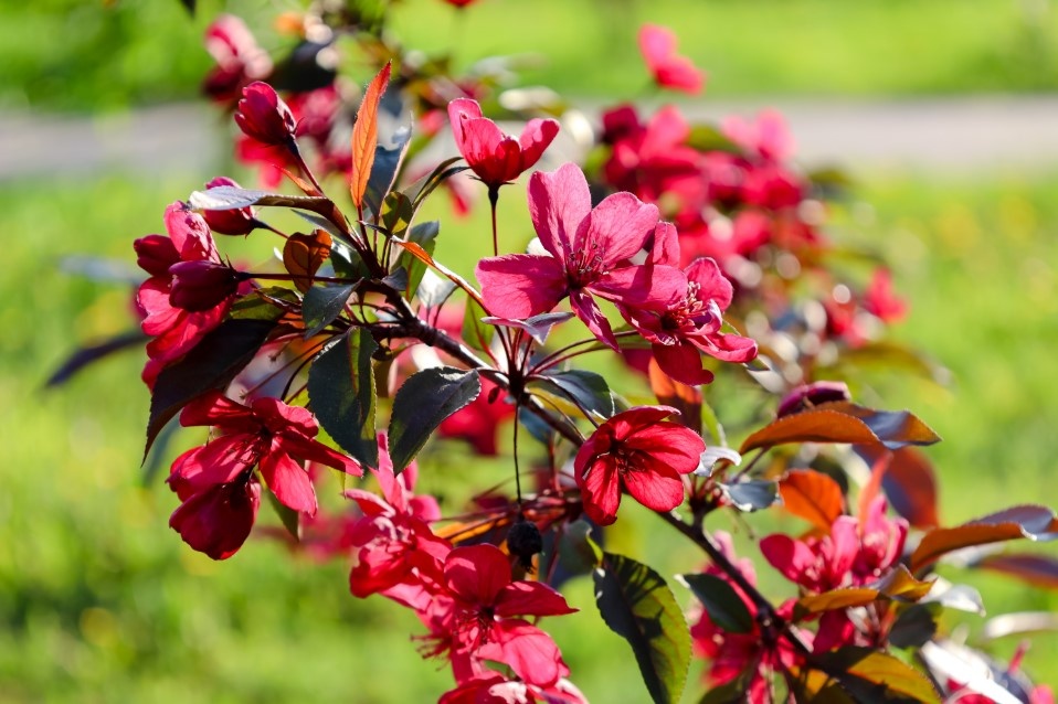    Фото: Elena Mayorova/Globallookpress