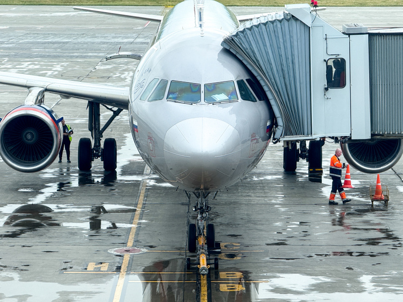    Фото: Petrov Sergey/Globallookpress